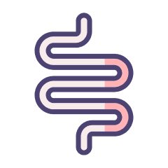DIGESTIVE SYSTEM DISORDERS